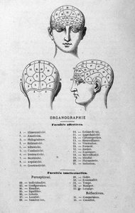 Illustration aus Charles Rouvins Buch von 1873 Organographie La Tête humaine, illustrierte Studien der Phrenologie und Physiognomie angewendet auf berühmte Persönlichkeiten Paris 1873 von Unknown artist