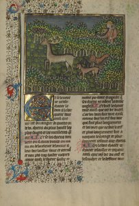 Ein Jäger und Hunde verfolgen ein Damwild von Unknown artist