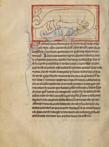 Ein Hydrus