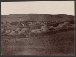 Ein Kraal, Zulu-Land