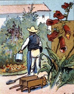 Ein Gärtner, Chromolithografie von Unknown artist