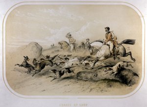Eine Wolfsjagd. Gravur des 19. Jahrhunderts. von Unknown artist