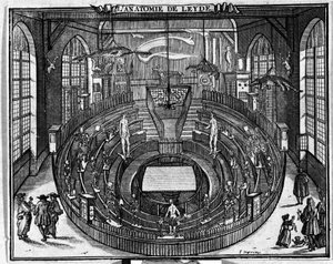 Anatomisches Theater der Universität Leiden, Ende des 17. Jahrhunderts.