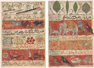 Tiere, Edelsteine, Münzen und Musikinstrumente (recto); Tiere, Vögel und Pflanzen (verso) aus einem Mu