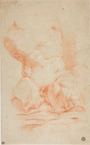 Belvedere Torso