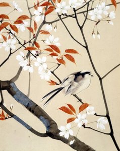 Vogel und blühender Kirschbaum - Japanische Zeichnung von Riou Chim, späte 19. Jahrhundert
