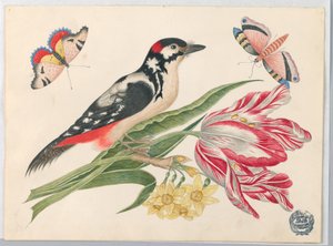 Schwarz-weiß gesprenkelter Vogel auf Tulpenstiel, mit Narzissen und Schmetterlingen