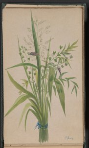 Blumen- und Gräserstrauß
