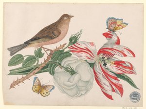Brauner Vogel auf Zweig mit Rose, Tulpe und Insekten