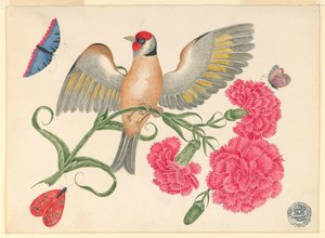 Brauner Vogel mit rotem Kopf auf Nelkenstiel mit Schmetterlingen von Unknown artist