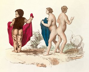 "Gesammelte Werke von Buffon": Naturgeschichte des Menschen: junger Schwarzer mit Hirsutismus und Siamesen (Gravur) von Unknown artist