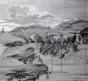Korallenfischen mit Hilfe von Salaber und Ausrüstung von Unknown artist
