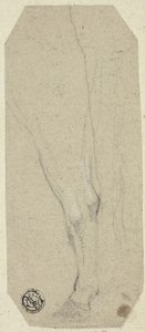 Kuhbein