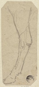 Kuhbein von Unknown artist