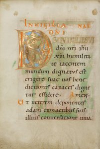 Dekorierte Initiale D von Unknown artist