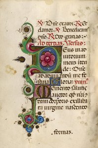 Geschmücktes Initial D; Geschmücktes Initial M von Unknown artist