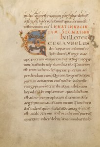 Dekoriertes Initial E von Unknown artist