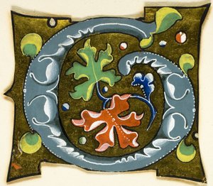 Geschmückter Initialbuchstabe "G" in Grau mit roten, grünen und blauen Blättern aus einem Manuskript von Unknown artist