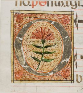 Geschmücktes Initial "O" mit Blumen aus einem Manuskript