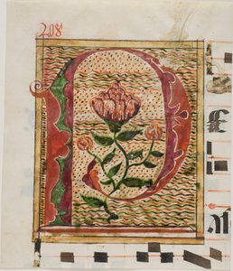 Geschmücktes Initial "P" mit Blumen aus einem Manuskript