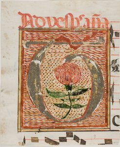 Geschmücktes Initial "T" mit Blume aus einem Manuskript