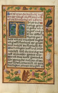 Dekorierte Textseite von Unknown artist
