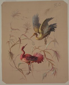 Entwurf für Tapeten und Textilien: Blumen und Vögel