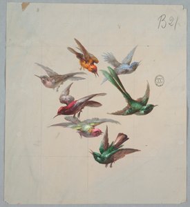 Entwurf für Tapeten und Textilien: Vögel