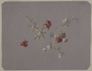 Design für Tapeten und Textilien: Blumen von Unknown artist