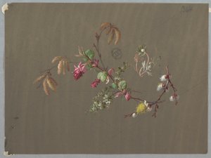 Entwürfe für Tapeten und Textilien: Blumen von Unknown artist