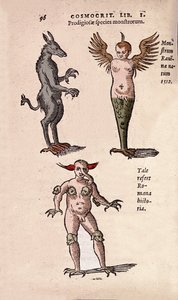 Verschiedene Monster und fantastische Kreaturen von Krakau und Ravenna. Platte aus „De Natura Divini Caracterismis“ von Cornelio Gemma von Unknown artist
