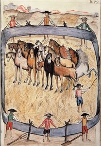 Dressur von Wildpferden, aus dem Buch "Trujillo del Peru" oder "Códice Martínez Compañón", von Baltazar Martinez Compañón y Bujanda, Bischof von Trujillo (1782-1785) von Unknown artist