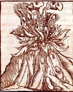 Ausbruch eines Vulkans. Kupferstich aus dem 16. Jahrhundert. von Unknown artist