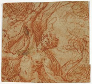 Die Häutung des Marsyas von Unknown artist