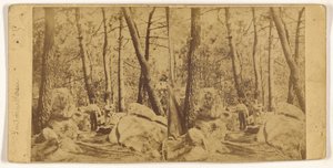 Fontainebleau von Unknown artist