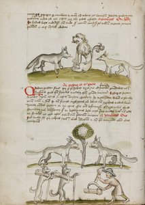 Fuchs und Wolf vor einem Löwen; Zwei Wölfe unter einem Baum ziehen Getreideballen; Ein Bauer bündelt Getreidegarben