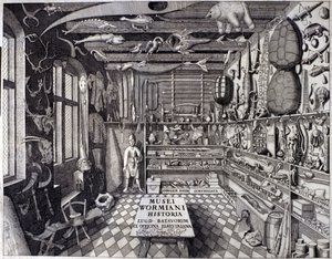 Frontispiz von Musei Wormiani Historia, zeigt das Innere des Kuriositätenkabinetts von Ole Worm von Unknown artist