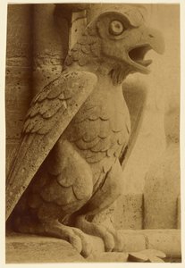 Wasserspeier, Notre-Dame von Unknown artist