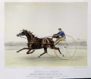 Reiten: Schäfer F. Knapp, Traber - in „the centaur“ von Unknown artist