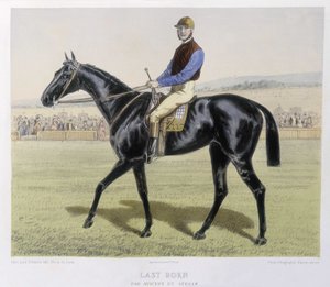 Reiten: Letztgeborener - in „the Centaure“ von Unknown artist