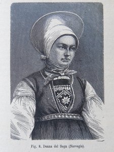 Illustration aus "Die menschliche Rasse" von Louis Figuier von Unknown artist