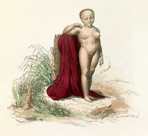Illustration aus dem Buch "Gesammelte Werke von Buffon": Naturgeschichte des Menschen: Weiße Negresse (Gravur) von Unknown artist