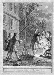 Illustration der Fabel „Ein Tier im Mond“ von Jean de la Fontaine.