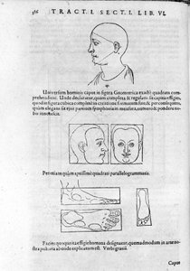 Bild der Physiognomie aus „Collectio Operum“ von Robert Fludd (Robertus de Fluctibus). London 1617 von Unknown artist