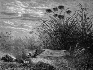 In Masoumbo: Livingstones Moskitonetz - „Livingstones letzte Reise 1866-1873“ in „Tour du Monde“, 2. Halbjahr 1875 von Unknown artist