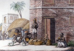 Indische Kultur und Zivilisation: Schlangenbeschwörer in Indien.