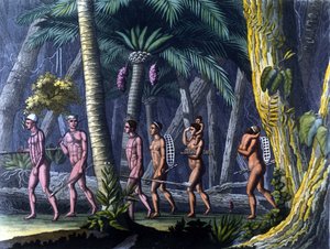 Indiens Puris im Wald (Brasilien) - in „Le costume ancien et moderne“ von Ferrario, ed. Mailand von Unknown artist