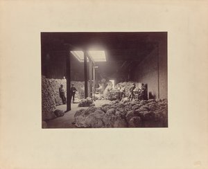 [Innenansicht des Wollsortierhauses, Walter Brown und Company]