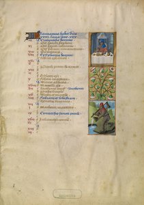 Januar-Kalenderseite; Festmahl; Wassermann