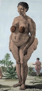 La Venus Hottentote, Frau der Bochiman-Rasse; (Die Hottentotten-Venus), Gravur von 1815 von Unknown artist